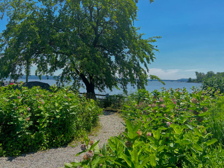 IMG 4019 TOUCHUP 768x576